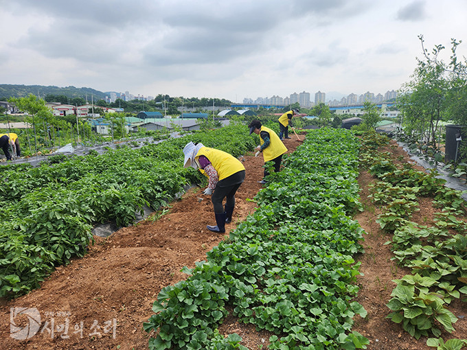 구리시 청춘농장, 사회복지기관에 친환경 농산물 지원